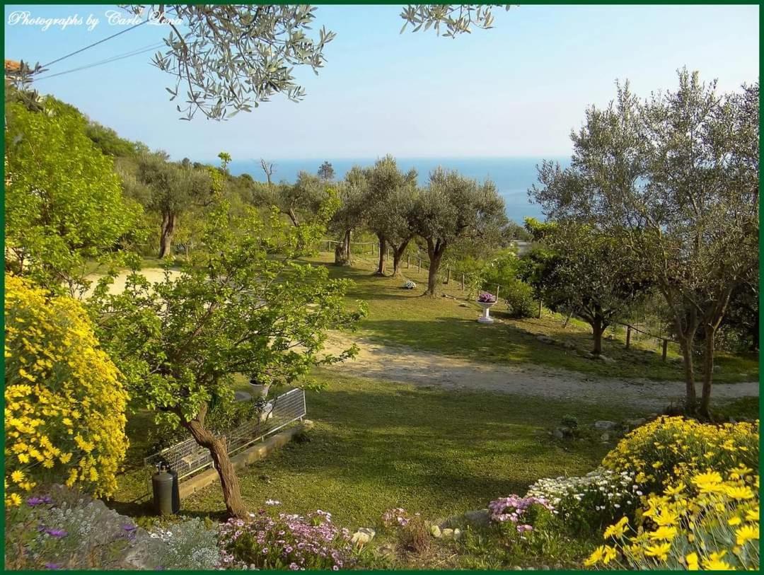Pierina Apartment Finale Ligure