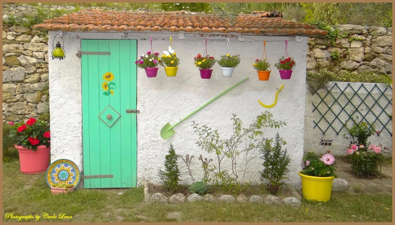 Pierina Apartment