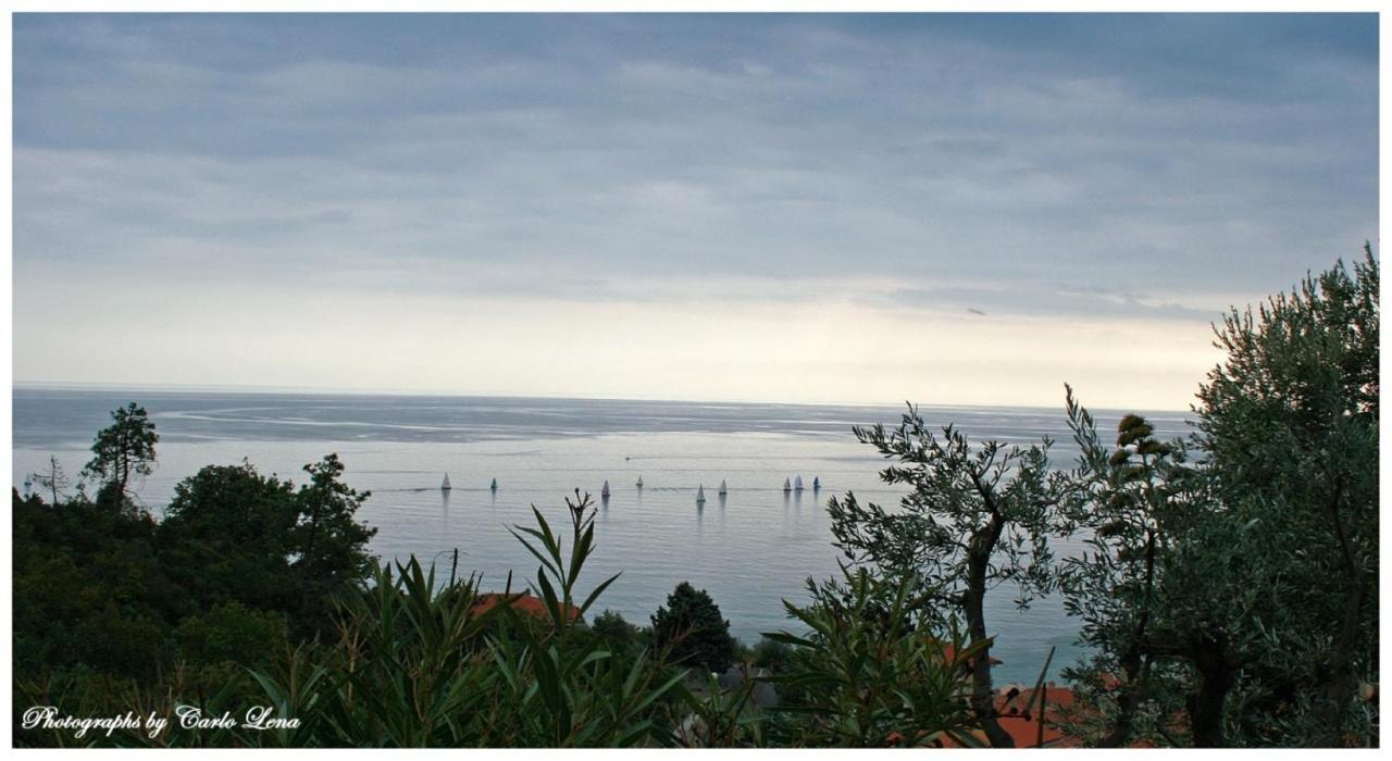 Apartment Pierina