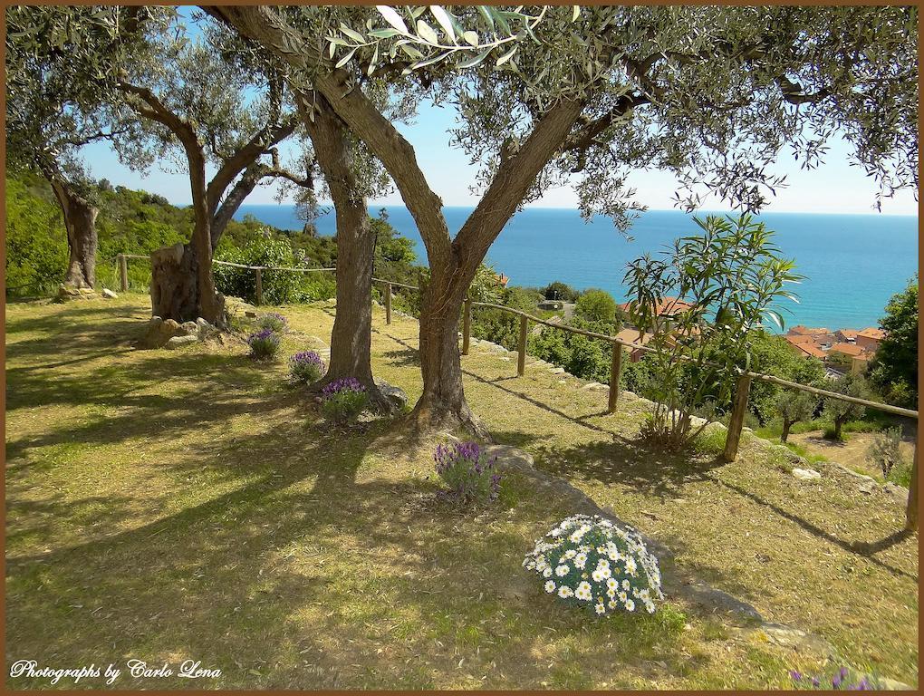 Pierina Apartment *