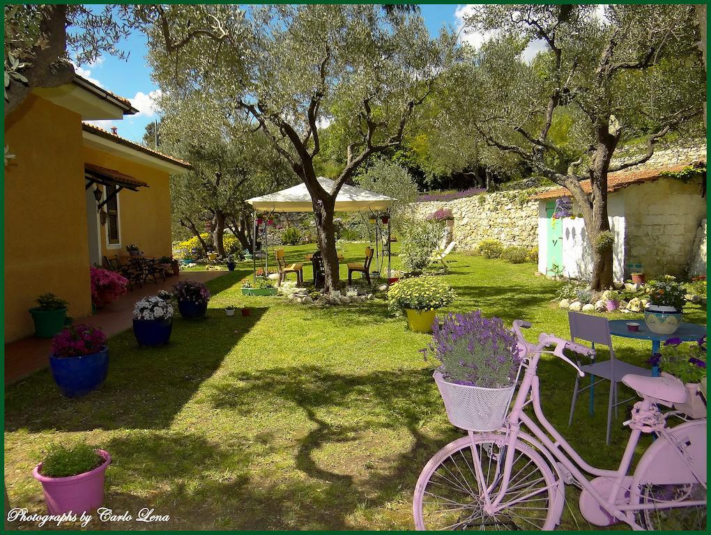 Pierina Apartment